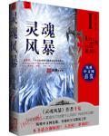 灵魂风暴