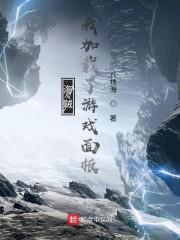 海贼:我加载了游戏面板