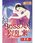 BOSS大人别乱来