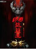 终极盗墓王