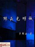 殊死光明城