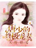 天价婚爱:唐少的终极宠妻