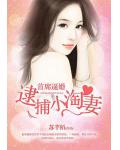 首席逼婚:逮捕小淘妻