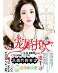 宠婚,总裁的野蛮妻