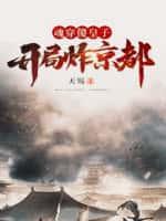 魂穿傻皇子,开局炸京都