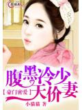 豪门密爱:腹黑冷少天价妻
