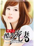 重生之酷少宠妻