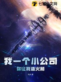 我一个小公司,你让我造火箭?