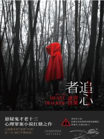 追心者:完美迷宫