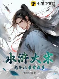 水浒大宋,老子小弟有点多