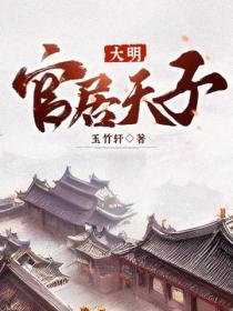 大明：官居天子