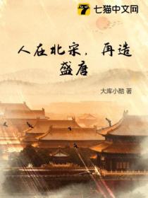 人在北宋,再造盛唐