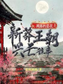 凋落的昙花:新莽王朝兴亡往事