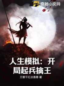 人生模拟:开局起兵擒王