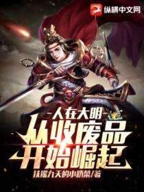 人在大明,从收废品开始崛起