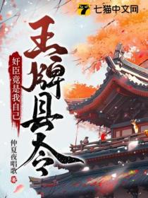 王牌县令:奸臣竟是我自己
