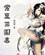 爱豆三国志