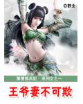 薄情佣兵妃:王爷妻不可欺