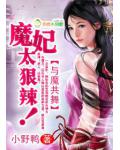 与魔共舞:魔妃太狠辣