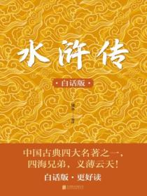 白话水浒传