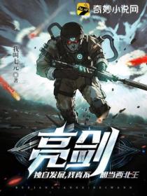 亮剑:独自发展,我真不想当西北王