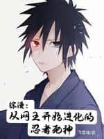 综漫:从网王开始进化的忍者死神