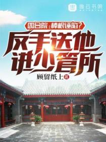 四合院:棒根诬陷?反手送他进少管所