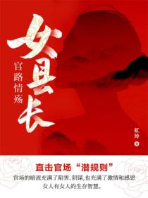 女县长:官路情殇
