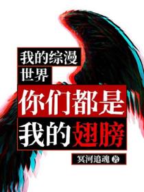 我的综漫世界:你们都是我的翅膀