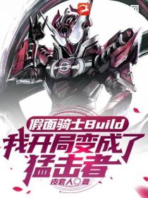 假面骑士Build：我开局变成了猛击者