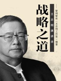 战略之道:王志纲演讲录