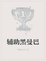 辅助黑曼巴