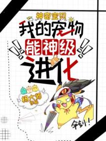 神奇宝贝:我的宠物能神级进化
