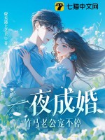 一夜成婚,竹马老公宠不停!