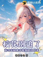 校花别追了!高冷女同桌才是我的白月光